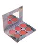 SENSI The Marble Effect Matte Face Blusher Set #2